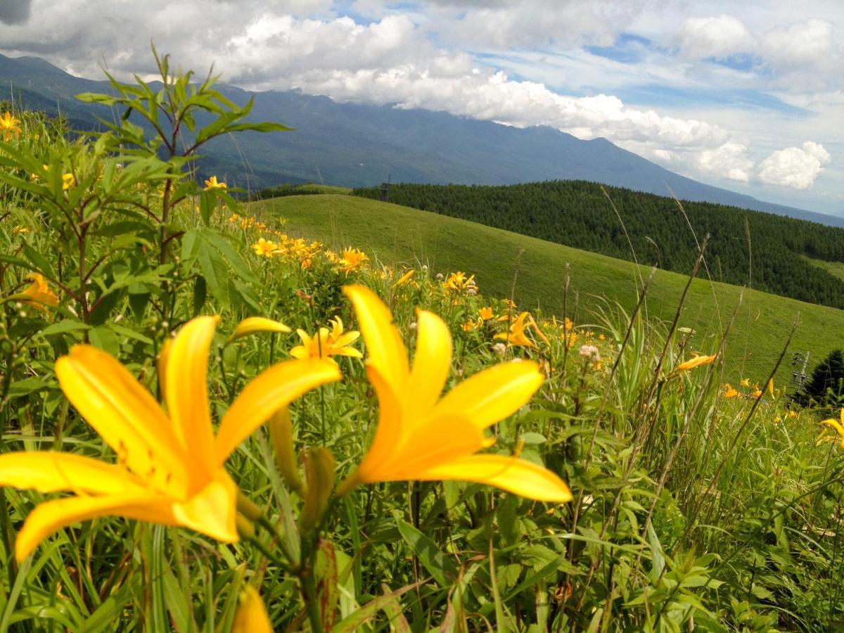 Pension Wildflowers Tateshina  Dış mekan fotoğraf