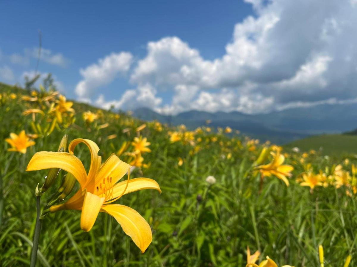 Pension Wildflowers Tateshina  Dış mekan fotoğraf