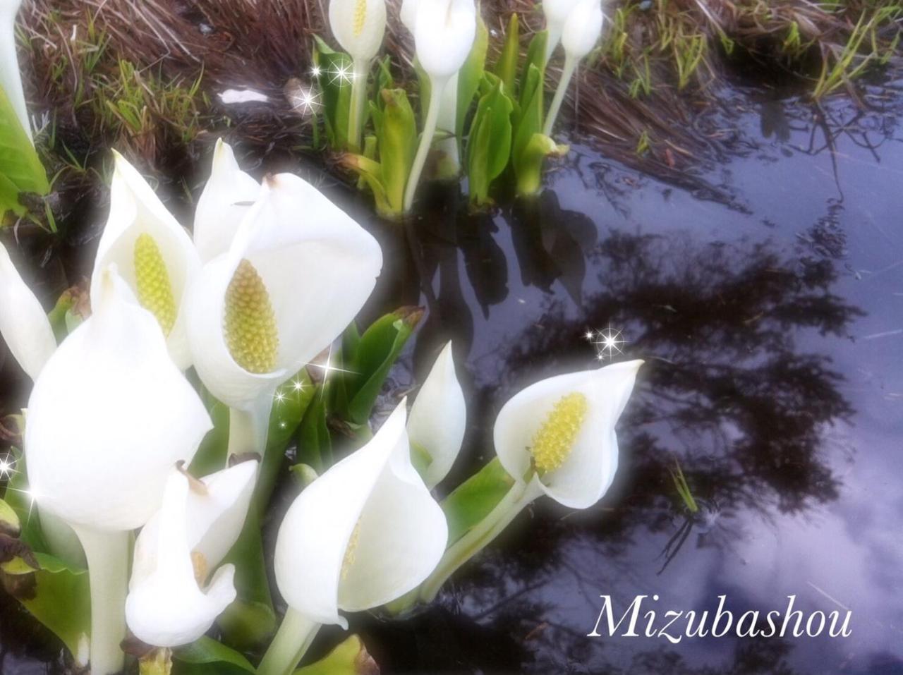 Pension Wildflowers Tateshina  Dış mekan fotoğraf