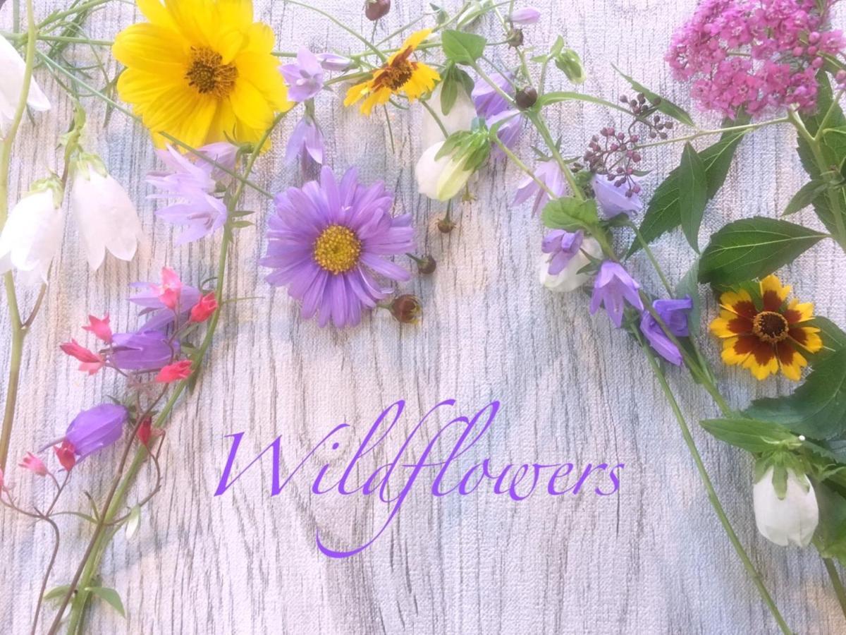 Pension Wildflowers Tateshina  Dış mekan fotoğraf