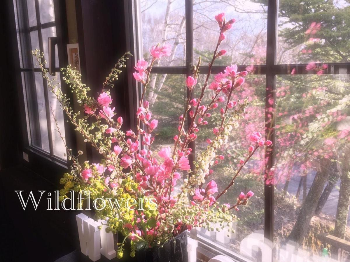 Pension Wildflowers Tateshina  Dış mekan fotoğraf